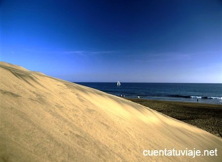 Reserva Natural Especial Dunas de Maspalomas. Gran Canaria.